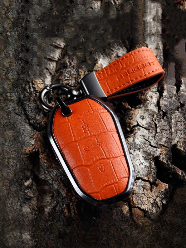 Peugeot-Car Key Cover-14